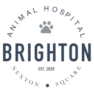Brighton Park Animal Hospital